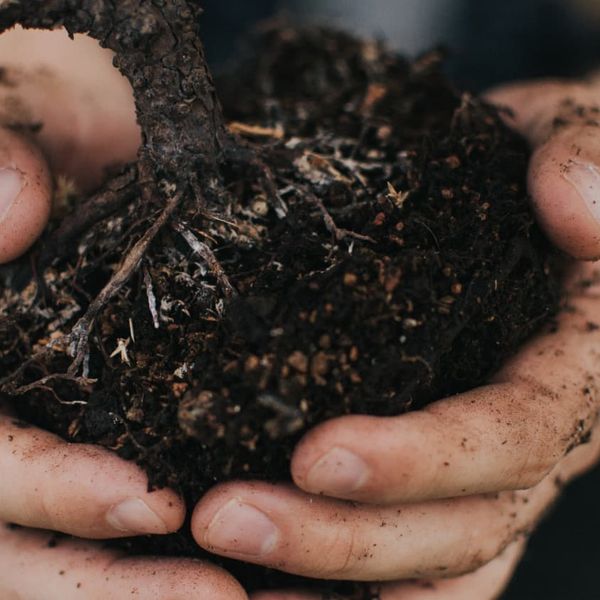 Soil in your hands - Photo by Kyle Ellefson